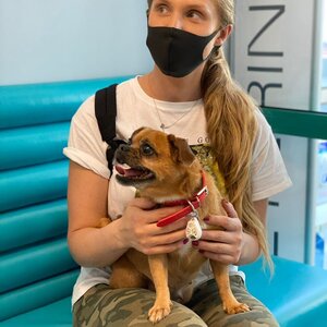 ВЕТДЕНТ-СЕРВІС ВЕТЕРИНАРНА КЛІНІКА СТОМАТОЛОГІЇ