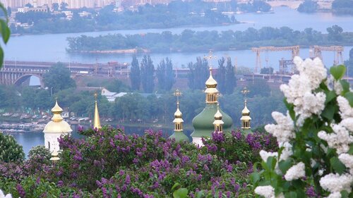 Грумінг салон «Мій улюбленець»