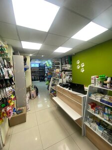 LAPKI SHOP
