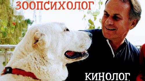 Зоопсихолог, кинолог, судья FCI - дрессировка собак, коррекция поведения. Только онлайн