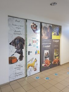 Pet Shop Zoobonus