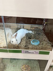 Зоомаркет MasterZoo