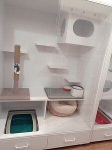 Муркотель Готель для котів