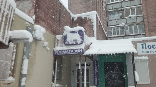 Зоомагазин TERRIERA