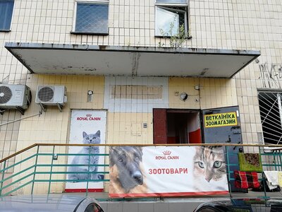 Чотири лапи