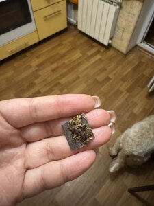 Зоомаркет MasterZoo