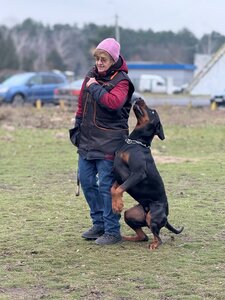 Кінологічний Центр «Алькор»