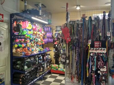 ZooPoint Pet Store