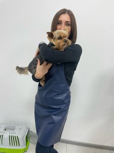Курсы груминга All-Grooming - обучение стрижке собак, котов и кошек