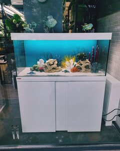 Студія аквадизайну Maksimov AquaDesign Studio (Maksimovs Farm)