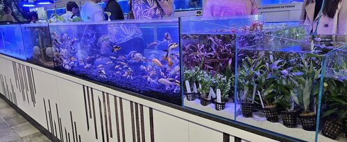 AquaZoo