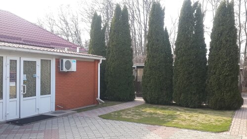 Ковчег