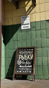 Акваріумні рибки зоомагазин акваріумістики Аквариумные рыбки, аквариумистика, купити все для