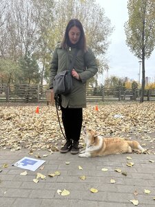 Дресирування собак MaliGuards Club K9