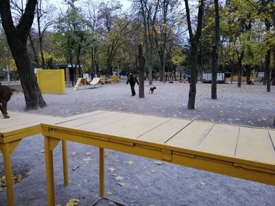 Дрессировка собак в Парке им. Горького