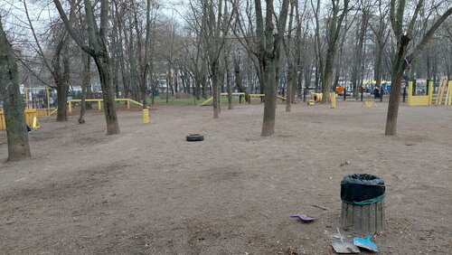 Дрессировка собак в Парке им. Горького