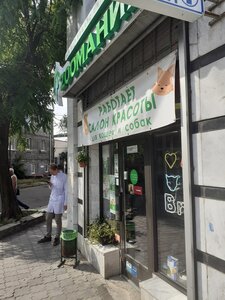Zooмания