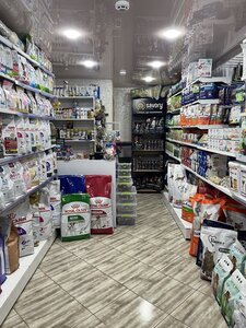 DreamPetStoreFamily