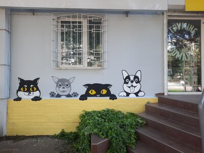 Зоомагазин та грумінг ЗооМікс