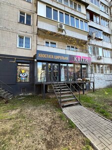Хвостата Цирульня