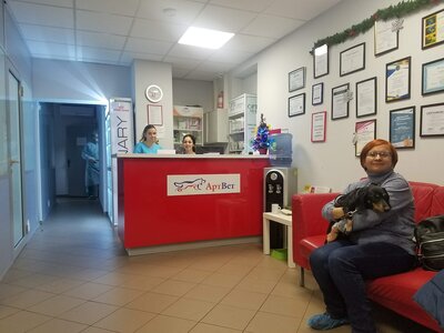 АртВет Печерськ ветеринарна клініка, аптека