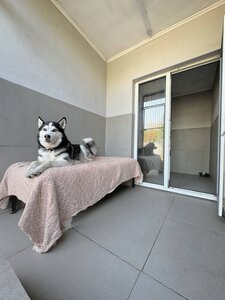 Zoohotel