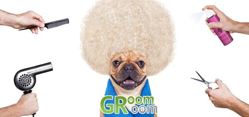 Зоосалон GroomRoom
