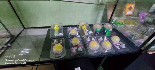 АкваЗоо