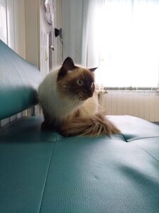 Ветеринарная клиника