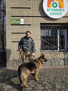 Ветклиника «Эскулап»