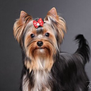 Mon Estelle