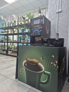 Green Cat — зоотовари та ветеринарні препарати