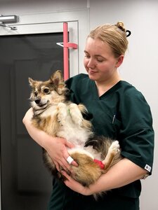 Ветеринарна клініка «Genesis Care»