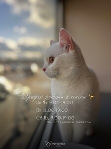 ВетЕксперт
