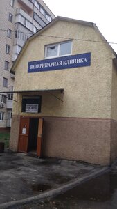 Слон і Моська