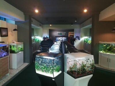 Зоомаркет MasterZoo