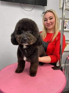 Зоосалон «Сьюзи»