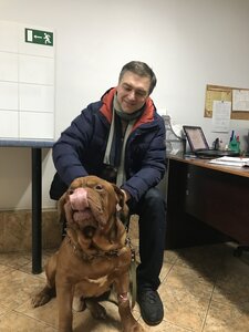 Вет Новосілки-Київ Голосіївський район Теремки