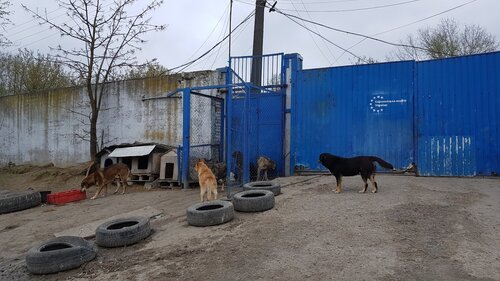 Товариство захисту тварин «SOS»