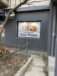 Зоомагазин «Лап-Усик»