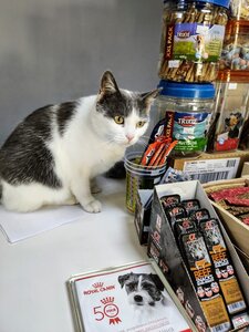Зоомагазин PetChoice