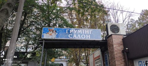 Грумінг салон у Голосіївському