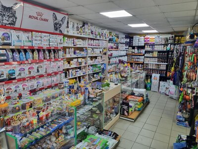 Зоомагазин Зоология