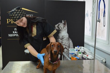 Ветеринарна клініка Vet Center