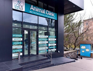 Ветеринарна клініка - Animal Clinic