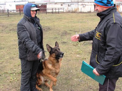 Дрессировка Собак ЦСК «Rex Zone»