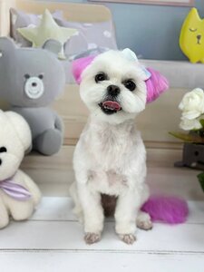 Doggie’s