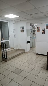 Ветеринарная Клиника «Хатико»