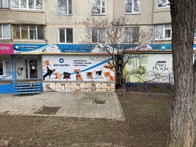 Доктор Вет