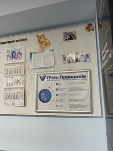 Айболітна Набережна Перемоги